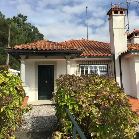 Quinta De Santa Maria Do Dao Villa Santa Comba Dao Exterior photo